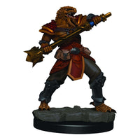 WizKids Premium Miniatures Male Dragonborn Fighter