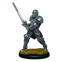 WizKids Premium Miniatures Male Human Fighter