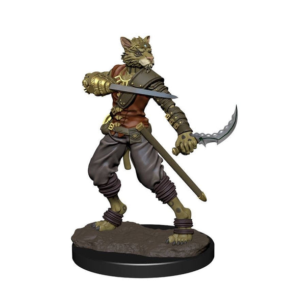 D&D Premium W6 M-Tabaxi Rogue