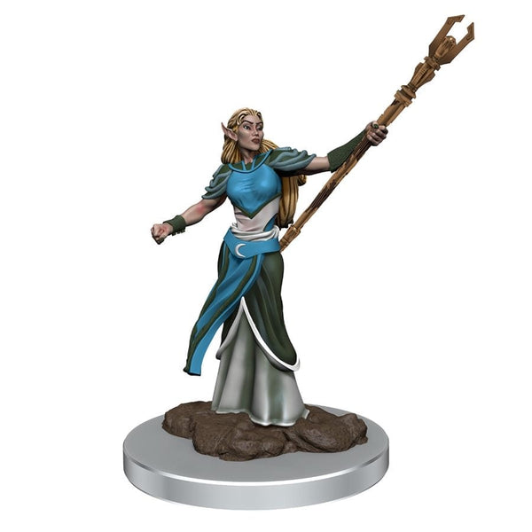 D&D Premium W7 F-Elf Sorcerer