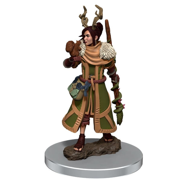 D&D Premium W7 F-Hum Druid